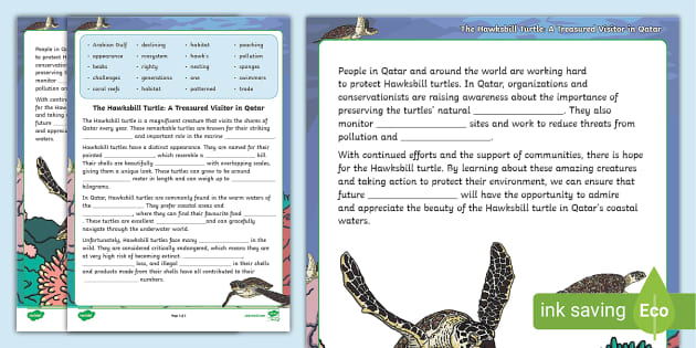 Hawksbill Turtle Worksheet (teacher made) - Twinkl