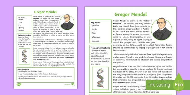 500 word essay on gregor mendel