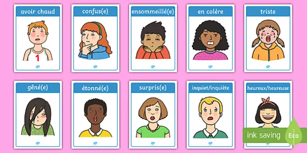 18  Emotions FRENCH EYFS/ Preschool/ Toddler/ SEN Educational Flash Cards 