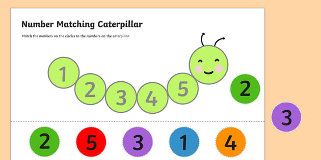 number-matching-caterpillar-activity-teacher-made-twinkl