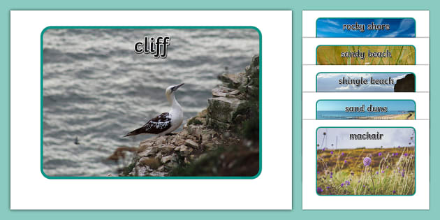 UK Coastal Habitats Photo Display Pack - Twinkl - KS1