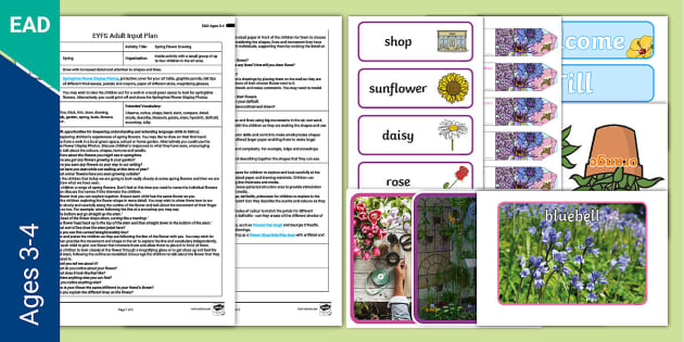 EYFS Spring Flower Drawing Plan and Resource Pack - Twinkl