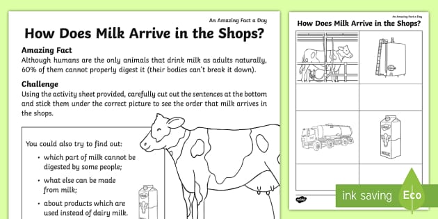 How Does Milk Arrive in the Shops? Worksheet / Worksheet