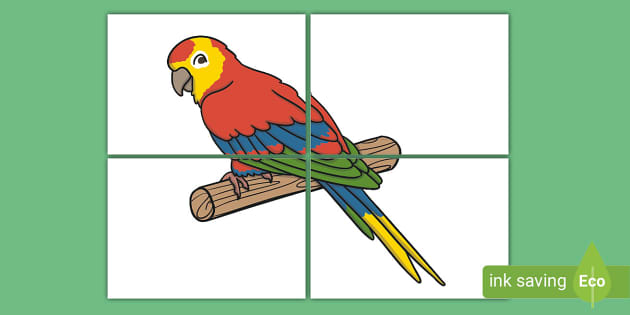 Extra Large Display Parrot Cut-Out (teacher made) - Twinkl