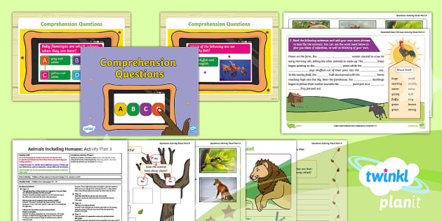 Amphibians And Fish | KS1 Guided Reading Activity Pack