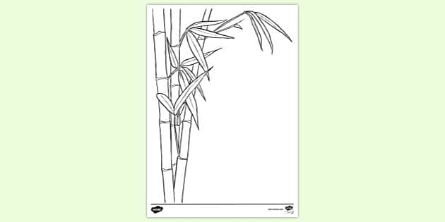 how to draw bamboo step by step