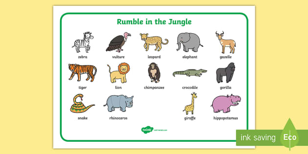 Word Mat (Images) to Support Teaching on Rumble in the Jungle