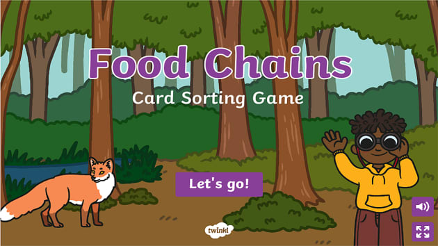 Food Chain Card Game - Twinkl