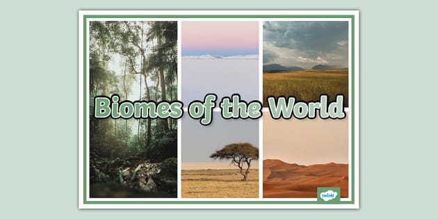 Biomes of the World Photo Display Poster - Twinkl