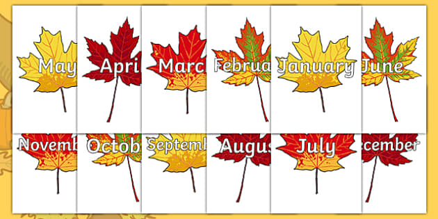 Months of the Year on Autumn Leaves | Primary Resources