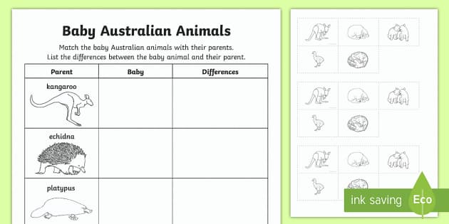 Baby Australian Animals Cut and Paste Worksheet / Worksheet-Australia Baby Australian Animals Cut and Paste Worksheet / Worksheet-Australia