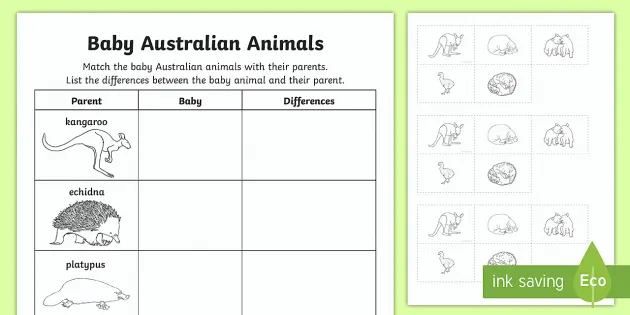 Australian Baby Animal Names Worksheet / Worksheet - Twinkl