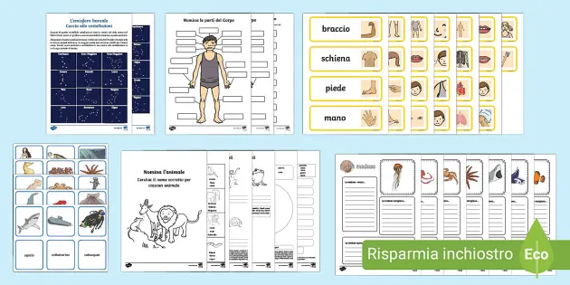 Pacco di grammatica inglese per l'estate (Teacher-Made)