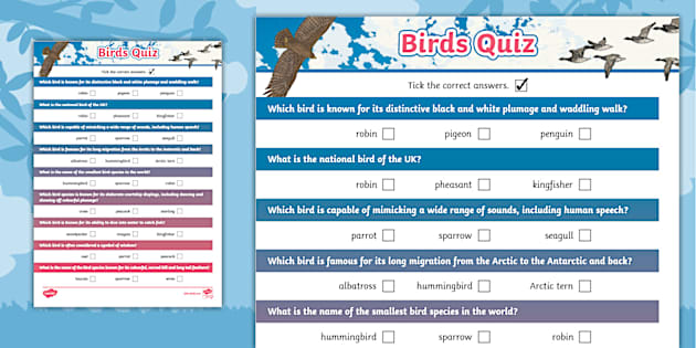 Birds General Knowledge Paper Quiz (teacher made) - Twinkl