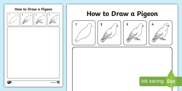how to draw pigeon drawing easy step by step@DrawingTalent - YouTube