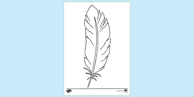 field of feathers coloring page ideas