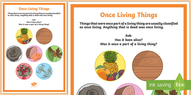 Characteristics of Living Things Display Poster - Twinkl