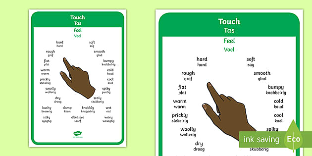 Touch Vocabulary Display Poster (teacher made) - Twinkl