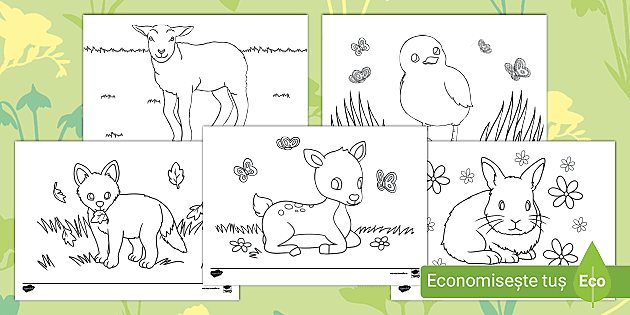 Primăvara: Puii animalelor – Desene de colorat