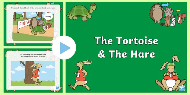 tortoise and hare running store