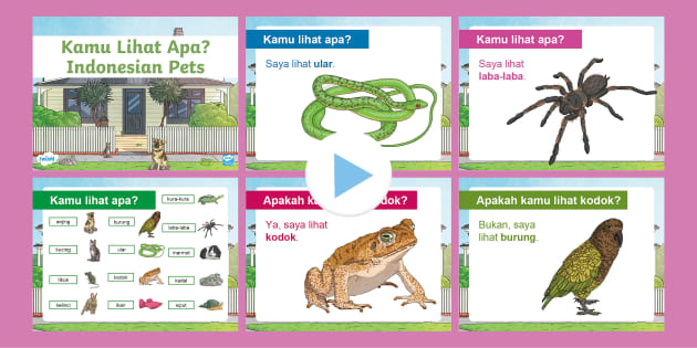 Kamu Lihat Apa? Pet Animals PowerPoint Indonesian - Twinkl