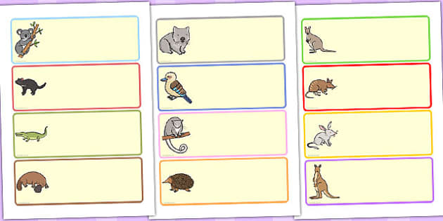 Australian Animal Drawer Peg Name Labels (teacher made)