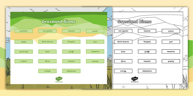 grassland-biome-vocabulary-mat-teacher-made-twinkl