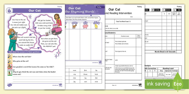 Level 5 Our Cat 60 Second Reading Set 2 Intervention Pack level-5-our-cat-60-second-reading-set-2-intervention-pack
