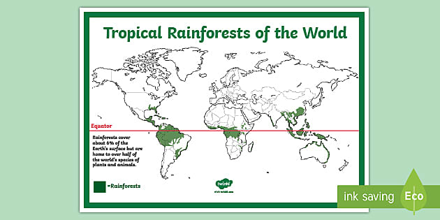 Rainforest Map KS2 Reference Sheet
