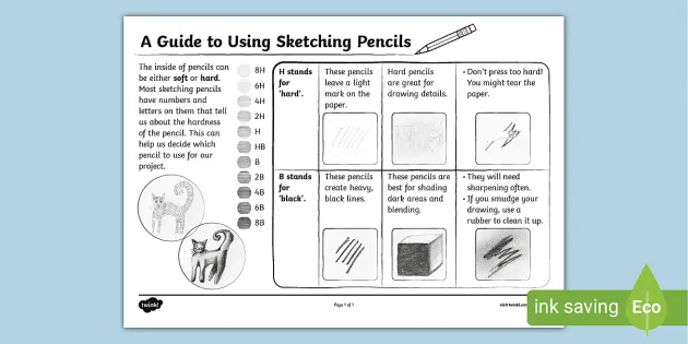 Lesson Plan | Introduction to Scientific Sketching