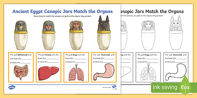 Ancient Egypt Canopic Jars: Match The Organs Activity