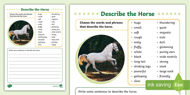 describe-the-horse-writing-activity-teacher-made