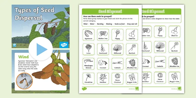 How seeds travel worksheet