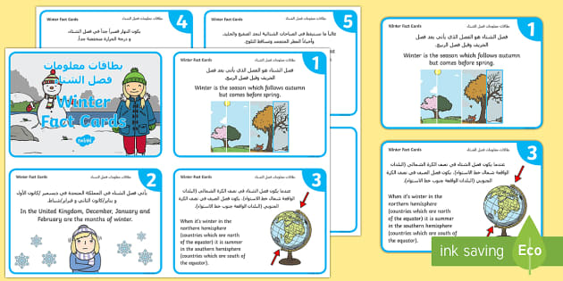 KS1 Winter Fact Cards Arabic/English (Teacher-Made) - Twinkl