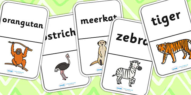 Animal Vocabulary Flash Cards for Sorting - ESL Animals Resources