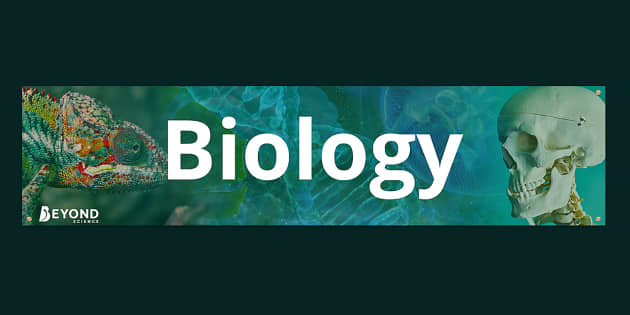 t3-sc-017-biology-display-banner_ver_2 100 TUTORIAL