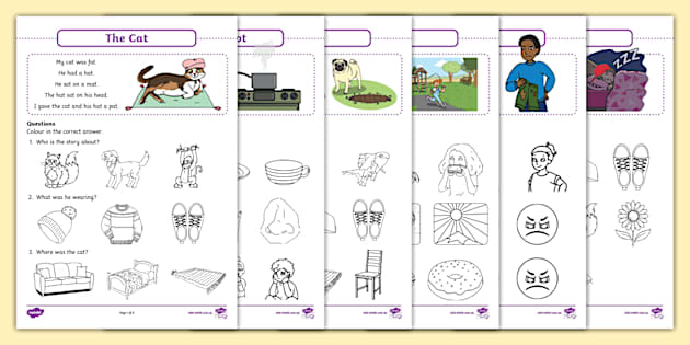 Foundation CVC Reading Comprehension (teacher made) - Twinkl