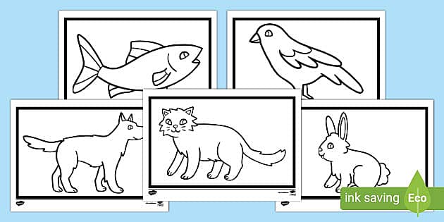 Pet Colouring Pages for Children with Visual Impairments