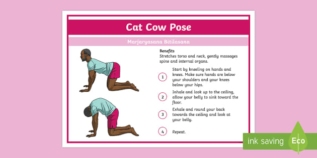 Yoga Cat Cow Pose Step-by-Step Instructions (teacher made)