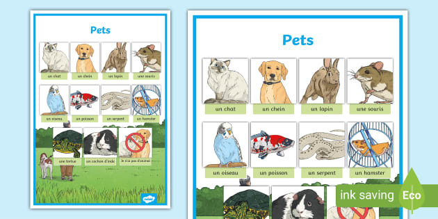 630px x 315px - French Pets Word Grid (teacher made) - Twinkl