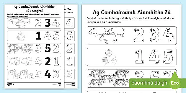 Zoo Animals Count And Write Worksheet Gaeilge Teacher Made