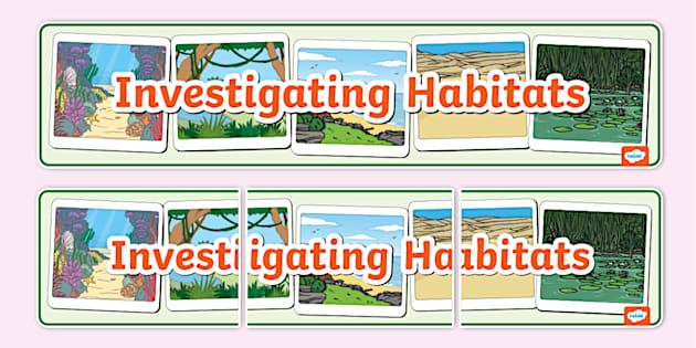 Investigating Habitats Display Banner (teacher made)