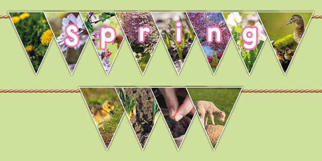 Spring Bunting | Celebrating Spring Season | Twinkl USA