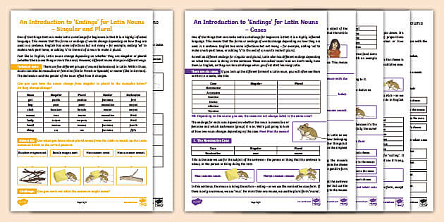 👉 An Introduction To 'Endings' For Latin Nouns Pack