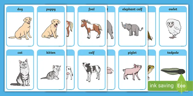 MATCHING GAME BOARD EYFS CLASS CHILDMINDER CARDS ANIMALS & THEIR BABIES 