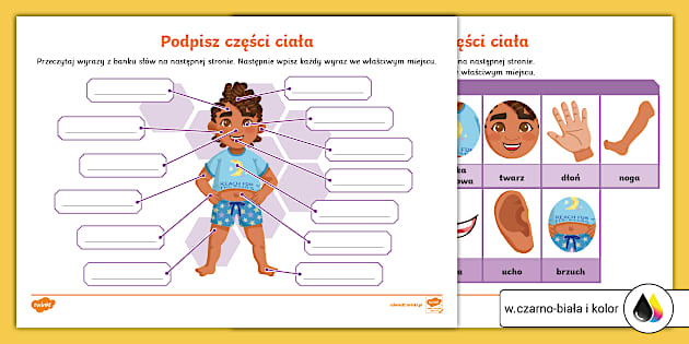Czesci Ciala Po Niemiecku Quiz Książeczki Twinkl: Ciało człowieka | Podpisz części ciała | Karta pracy