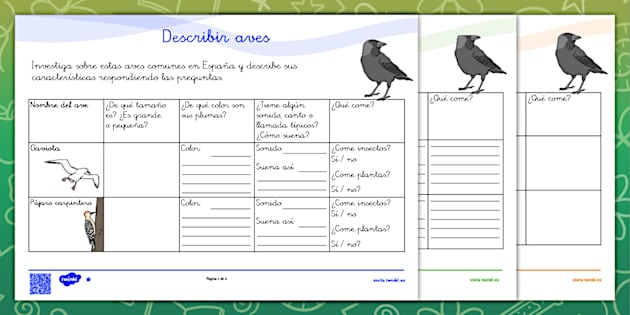 Ficha De Actividad Por Niveles Describir Aves Twinkl