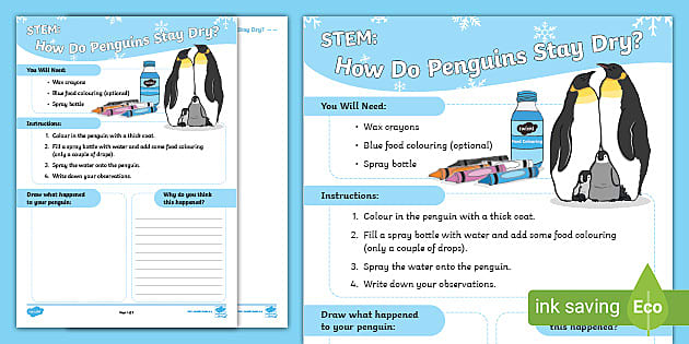 STEM: How Do Penguins Stay Dry? (teacher made) - Twinkl