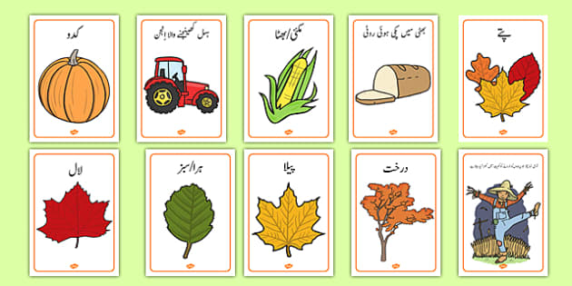 Autumn Display Posters Urdu