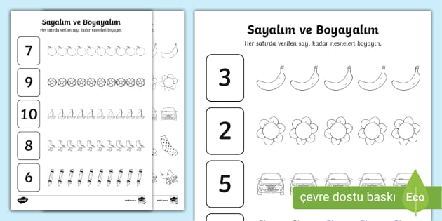 Sayalım ve Boyayalım | Çalışma Sayfaları - Twinkl